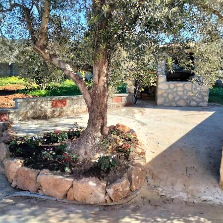 Sgm Casa Vacanze Masainas エクステリア 写真